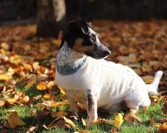 Hundepullover aus Bio-Alpakawolle selbstgestrickt
