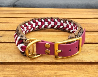 Hundehalsband mit verstellbarer Schnalle