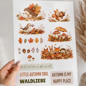 Könnte beinhalten: Ein Stickerbogen mit Aquarellillustrationen von Herbsttieren wie Igel, Eichhörnchen, Vogel und Fuchs, ergänzt durch Herbstlaub, Pilze und Eicheln. Der Text umfasst "BLÄTTERKIND", "LITTLE AUTUMN SOUL", "WALDLIEBE" sowie "AUTUMN IS MY HAPPY PLACE".