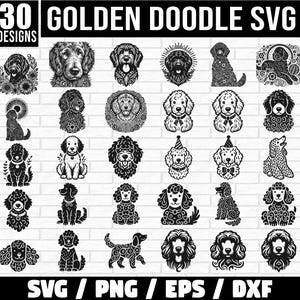 Bundle Svg Goldendoodle, silhouette Goldendoodle Png, sticker chien Goldendoodle art vectoriel, contour des cliparts Png de race de chiens, chien coupe fichier Cricut