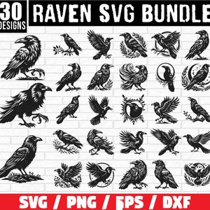 Raven SVG bundel, kraai SVG, kraai silhouet, Raven PNG, vogel SVG, kraai silhouet, donkere kraai SVG, kraai clipart, Raven clipart, Raven hoofd SVG