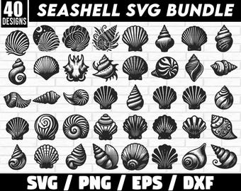 Seashell SVG Bundle, Seashell PNG Bundle, sea shell Vectors, Beach Icons, Sea Shell Cut files, Conch Shell svg, Seashell Clipart, Seashell
