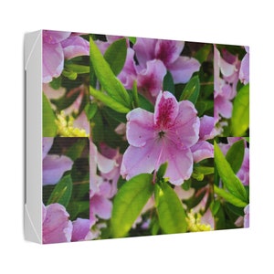 Classic Stretched Canvas