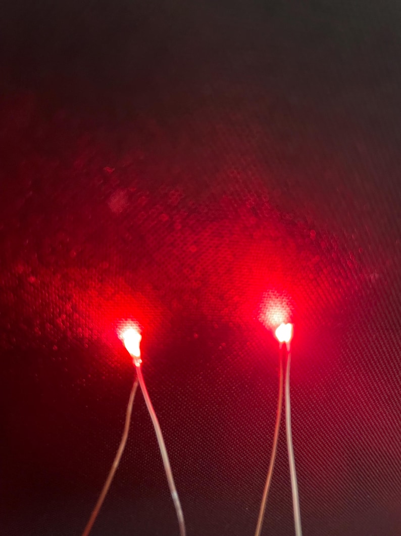 Prewired Double Micro LED Light Assembly With On/off Switch & 3 Volt ...