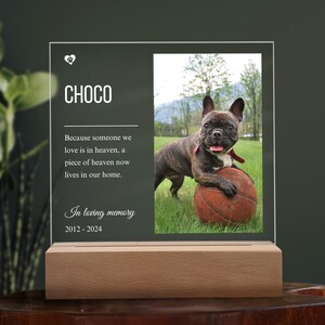 Dog Memorial Night Light, Custom Dog Plaque, Pet Night Light, Custom Dog Photo, Pet Memorial Frame, Gifts for Pets, Cat Dog Loss Gift