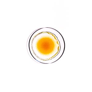 Propolis Tincture | Handcrafted Bee Resin Extract for Natural Wellness