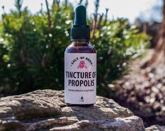 Pure Propolis Tincture by Cult of Bees – Natural Immune Support - Where Hive Meets Human - Ethically and Responsibly Harvested in the USA