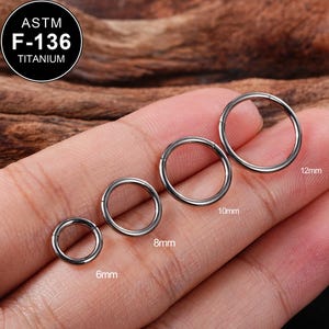 16G Titanium Hinged Segment Ring/16G Nose Piercing/Cartilage Hoop/Helix/Conch/Tragus Earring/Septum Ring/Nostril Hoop/Gift for Mom/1PCS