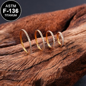 20G Titanium Gold Paved CZ Hinged Segment Ring/Nose Piercing/Cartilage/Helix/Conch/Tragus Hoop/Septum Ring/Nostril Hoop/Gift for Her/1PCS