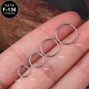 20G Titanium Hinged Segment Ring/18G Nose Piercing/Cartilage Hoop/Helix/Conch/Tragus Earring/Septum Ring/Nostril Hoop/Gift for Mom/1PCS