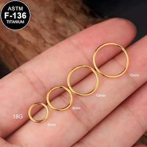 18G Titanium Gold Hinged Segment Ring/18G Nose Piercing/Cartilage Hoop/Helix/Conch/Tragus Earring/Septum Ring/Nostril Hoop/Gift for Mom/1PCS