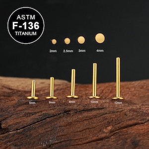 20/18/16G Titan kleine Gold flache Scheibe fadenlose Push-Pin Labret Bolzen/winzige Punkt Knorpelohrring/Tragus/Helix/Conch/Nasenstecker/2/2.5/3/4 mm