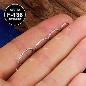 F136 TITANIUM Paved CZ Hinged Segment Ring/18G Nose Piercing/Cartilage Hoop/Helix/Conch/Tragus Earring/Septum Ring/Nostril Hoop/Gift for Mom