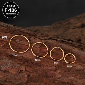 20G Titan Gold Klappsegment Ring/18G Nasenpiercing/Knorpel Hoop/Helix/Conch/Tragus Ohrring/Septum Ring/Nasenloch Hoop/Geschenk für Mama/1STK