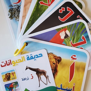 Carte flash de l'alphabet arabe, cartes flash imprimables, cartes d'apprentissage de l'alphabet arabe.