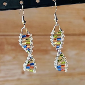 Puede incluir: Un par de pendientes colgantes plateados. Cada pendiente presenta un diseño de hélice de ADN, elaborado con cuentas de colores en tonos azul, verde, naranja y rojo. Las cuentas están ensartadas en un alambre transparente.