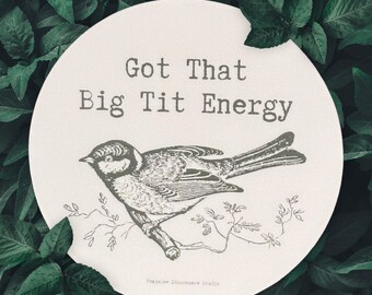 Got That Big T*t Energy | Weatherproof Laptop Water Bottle Glossy Matte Sticker | Humor | Sassy | Profanity | Bird