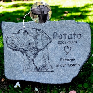 Op de afbeelding: Een grijze gedenksteen voor huisdieren met een gedetailleerde gegraveerde afbeelding van een hondenkop. De naam "Potato", data 2009-2024 en de woorden "Forever in our hearts" zijn gegraveerd. Een cirkelvormige afbeelding van een zwarte hond staat linksboven.