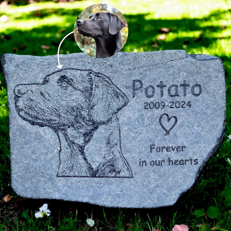 Op de afbeelding: Een grijze gedenksteen voor huisdieren met een gedetailleerde gegraveerde afbeelding van een hondenkop. De naam "Potato", data 2009-2024 en de woorden "Forever in our hearts" zijn gegraveerd. Een cirkelvormige afbeelding van een zwarte hond staat linksboven.