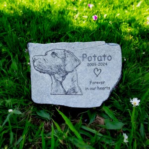 May include: A gray stone pet memorial with a detailed engraved image of a dog's head. The name "Potato", birth and passing years, and the phrase "Forever in our hearts" are inscribed. The memorial is set in green grass.