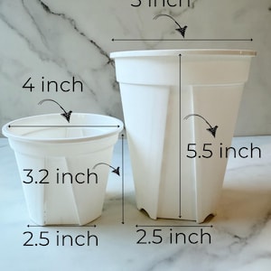 May include: Two white plastic plant pots, one 5 inches wide and 5.5 inches tall, the other 4 inches wide and 3.2 inches tall. Both pots have a 2.5 inch diameter base.