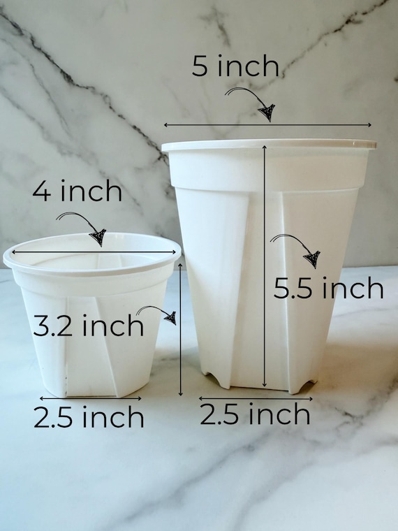 Indoor Planters: Plastic Pots for Succulents and Aroids - Pack of 5 | Nursery Pots with Drainage Holes