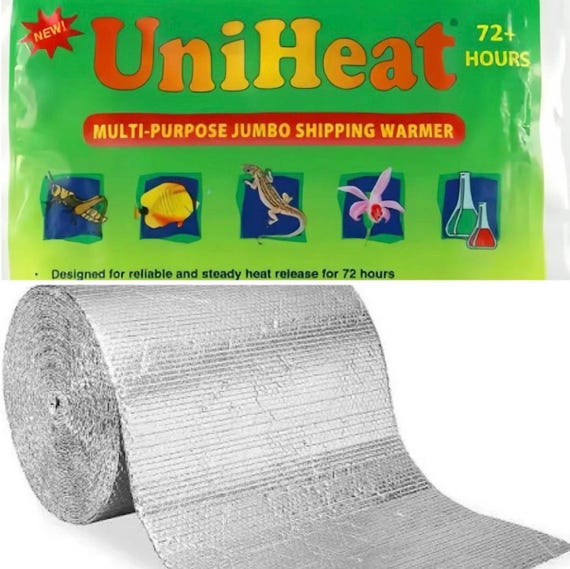 Portable Heat Pack and Insulation (Compact, Soothing Warmth)| Rooted Live Plant | Collector Houseplant | California Grown