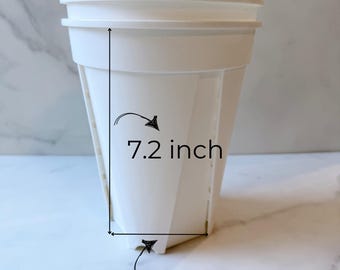 Plastic Plant Pots 6 Inch - Set of 5 for Houseplants| Rooted Live Plant | Collector Houseplant | California Grown