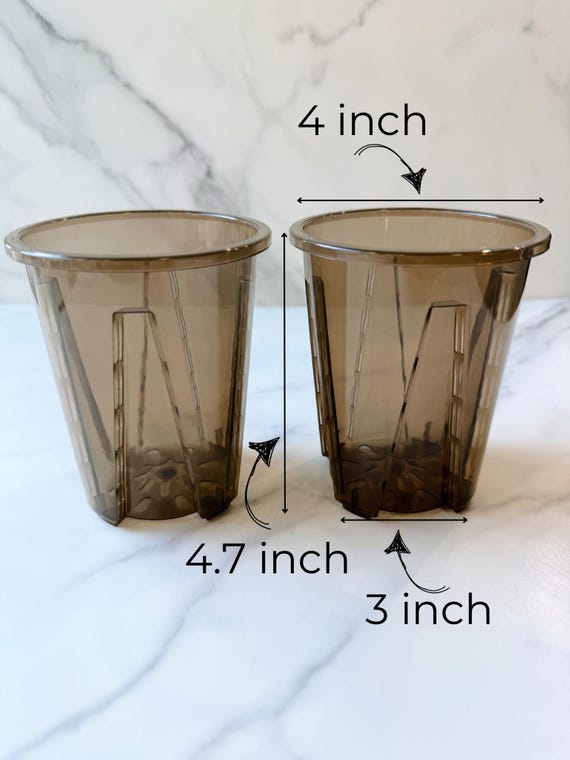 Plastic Planters: Durable 4-Inch Pots - Pack of 5| Rooted Live Plant | Collector Houseplant | California Grown