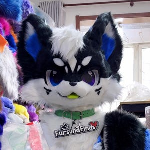 Puede incluir: Un fursuit de cuerpo completo de un personaje parecido a un zorro. La cabeza es negra, blanca y azul con ojos grandes. El cuerpo es blanco con detalles en negro y azul. La cola es larga y esponjosa. El collar dice "Fursona Finds".