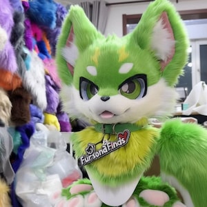 Fursona Partial, Custom Commission. Head, Paws, Feet, Tail: CHOOSE COLORS & PATTERNS image 2