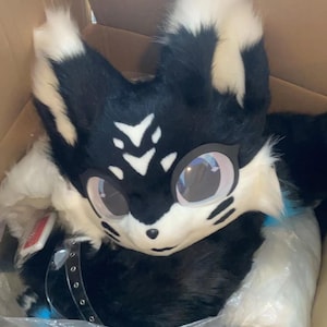 May include: A black and white furry fox head costume with large, reflective eyes and a black collar. The costume is inside a cardboard box, ready for wear. The fox head has white accents on the ears and face.