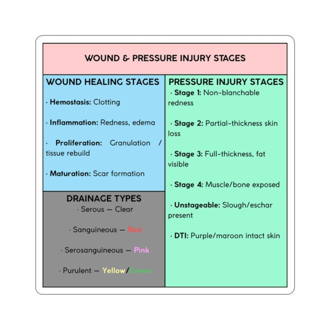 Skin Breakdown Chart Wound Care & Pressure Injury Stages Sticker, Nursing Study Guide, Skin ...