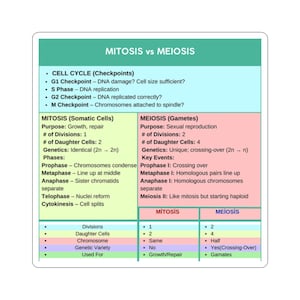 Biology Mitosis vs Meiosis Study Sticker, High-Yield Cell Division Comparison Chart, AP Bio & Intro Biology Exam Quick-Reference Sticker