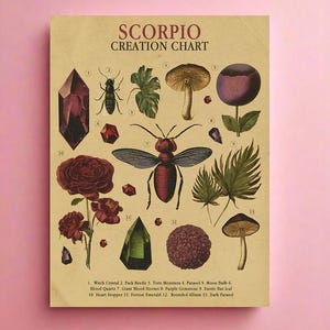 Scorpio Nature Chart - Zodiac Creation Chart Print, Zodiac Art, Zodiac Print, Poster Art, Poster Prints, Giclee Print, Museum Quality Art