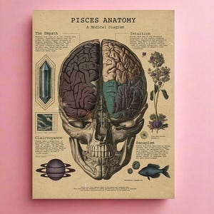 Pisces Medical Diagram Zodiac Anatomy Print, Zodiac Art, Fine Art Poster, Giclee Print, Museum Quality Art, Poster Art, High Quality Poster