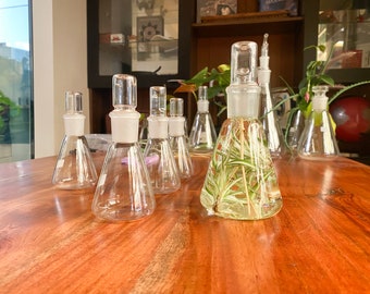 Vintage Chemistry Terrarium Bottle - Erlenmeyer Flask - Conical Glass Vase with ground glass stopper lid. Various sizes