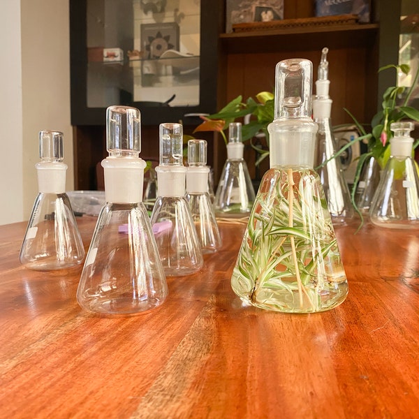 Vintage Chemistry Terrarium Bottle - Erlenmeyer Flask - Conical Glass Vase with ground glass stopper lid. Various sizes