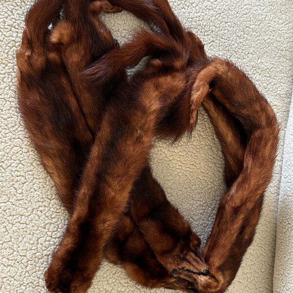 Excellent Condition Mink (real) Stole! Beautifully kept Shawl w/ 5 pelts. Vintage!