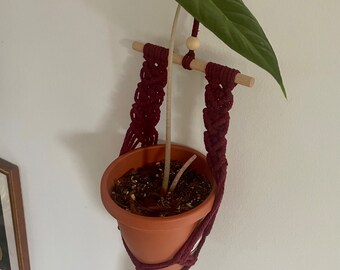 Burgundy macramé vase holder