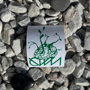 May include: A white sticker with a green graphic of a brain sprouting vines and the letters "QWM" below. The sticker is on a bed of gray rocks with a black stone.