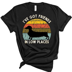 I&#39;ve Got Friends In Low Places T-shirt, Retro Dog Lover T-shirt, Funny Dachshund T-shirt, Colorful Dachshund Shirt, Friends Gift, funny Tee.
