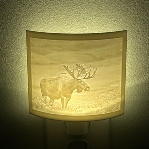 Moose nightlight