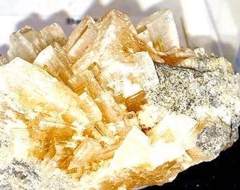 標本箱 石 天然クリスタル原石鉱物標本キット 地質学愛好家のための