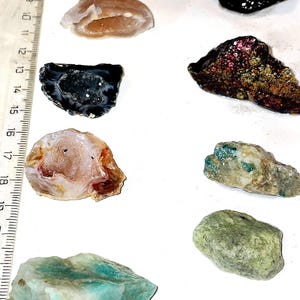 Puede incluir: Una colección de nueve tipos diferentes de rocas y minerales, incluyendo una roca roja y blanca, una roca marrón y blanca, una roca negra y blanca, una roca verde y blanca, una roca verde oscura, una roca marrón y dorada, una roca negra, una roca verde claro y una roca verde oscura.