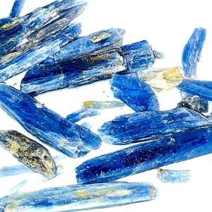 May include: A collection of blue kyanite crystals, some with a slight golden hue, arranged on a white surface. The crystals are long and slender, with a smooth, polished finish.
