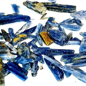 May include: A collection of blue kyanite crystals, some with a golden hue, scattered on a white surface. The crystals are long and slender, with a pointed tip.