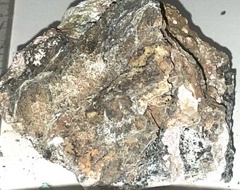 May include: A close-up of a rough, irregularly shaped rock with a variety of colors. The rock has a mix of brown, gray, white, and black hues. A ruler is visible in the background, providing scale.