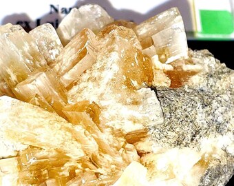 未加工鉱物 バライト標本、白黄色結晶、プラスチックケース入り - Etsy