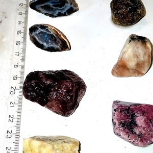 May include: A collection of eight different types of rocks and minerals, including agate, amethyst, and quartz. The rocks are arranged on a white surface with a ruler in the background. The text "JAACASGSR" is written on a white piece of paper in the lower right corner of the image.